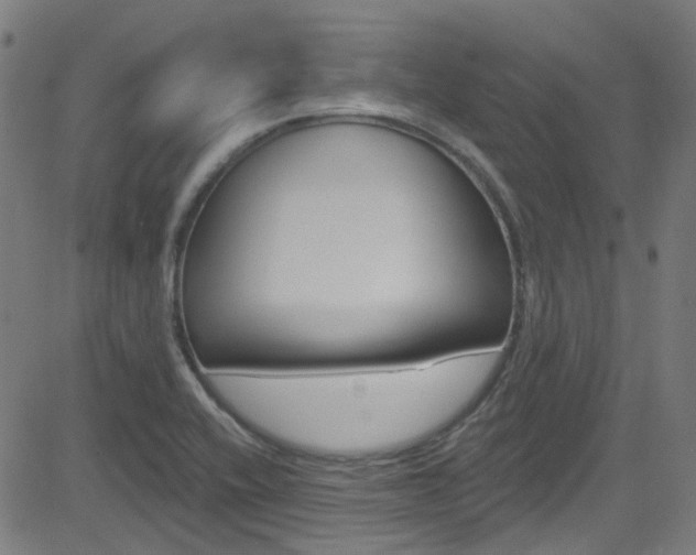 X0000082961416200702011101