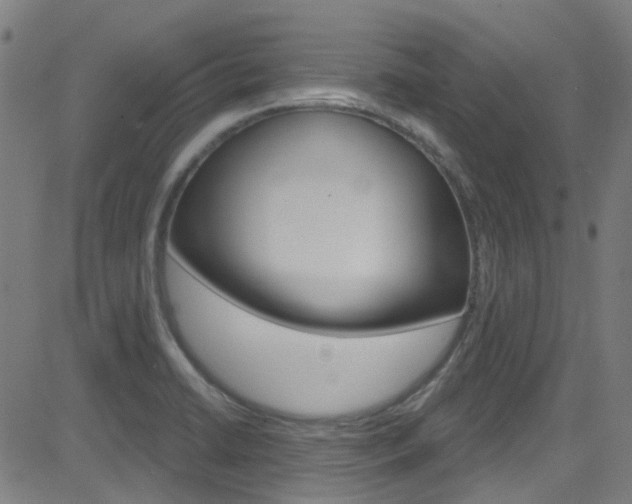 X0000082961422200702011101