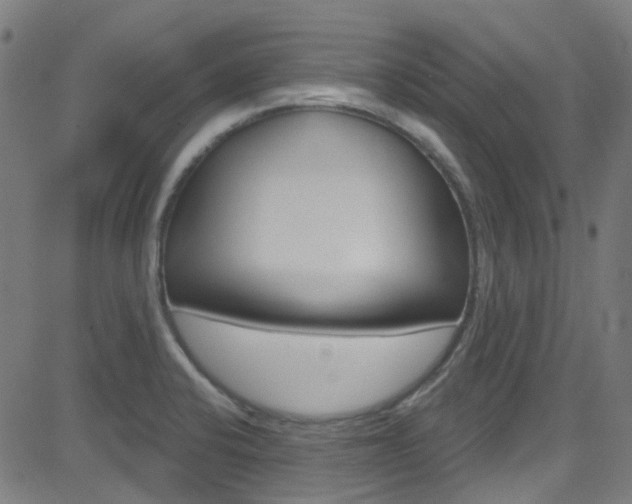 X0000082961424200702011101