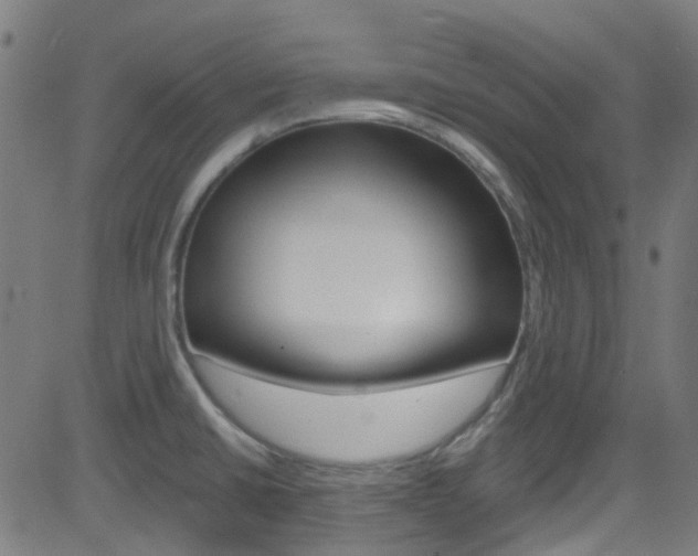 X0000082961430200702011101