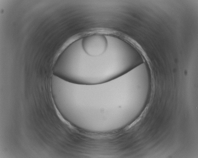 X0000082961433200702011101