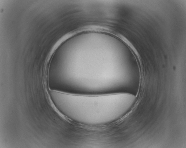 X0000082961437200702011102