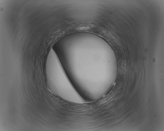 X0000082961441200702011101