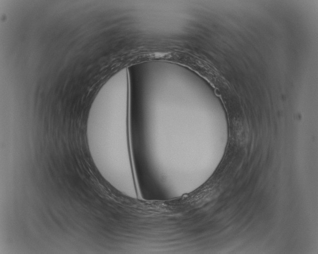 X0000082961442200702011101