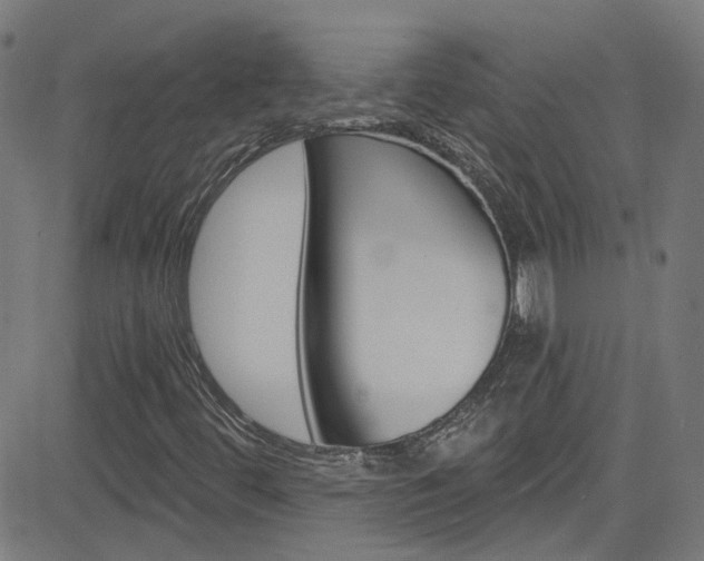 X0000082961444200702011101