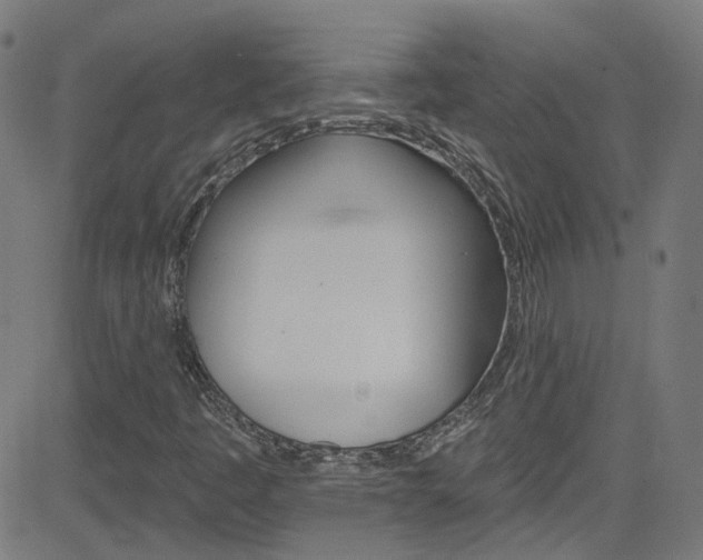 X0000082961445200702011101