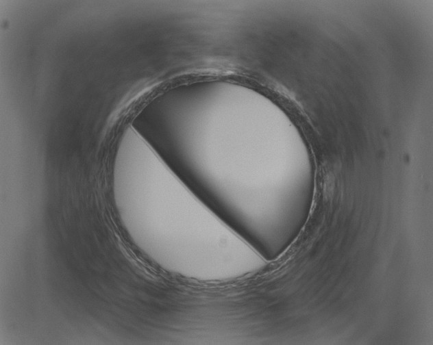 X0000082961448200702011101