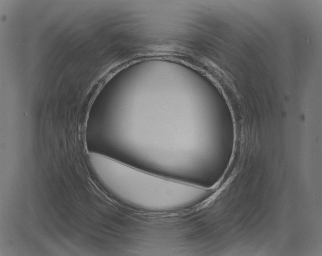 X0000082961449200702011101
