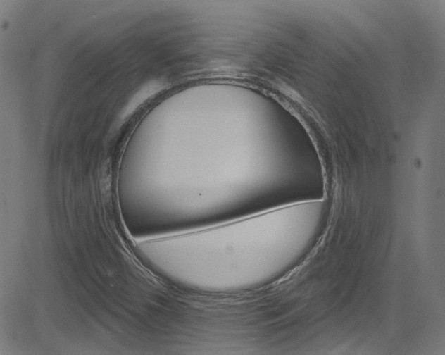 X0000082961450200702011101