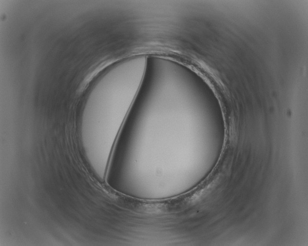 X0000082961453200702011101