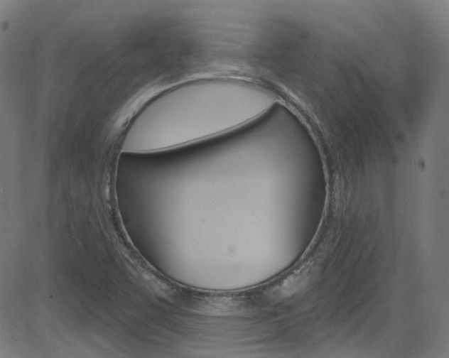 X0000082961455200702011101