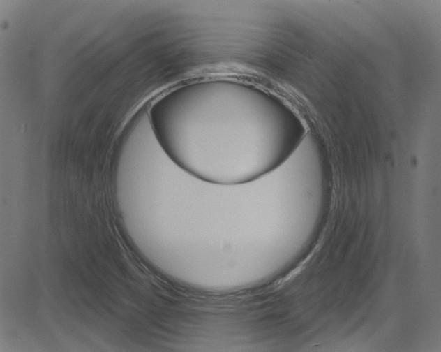 X0000082961457200702011101