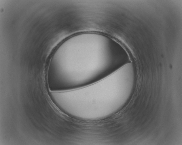 X0000082961460200702011101