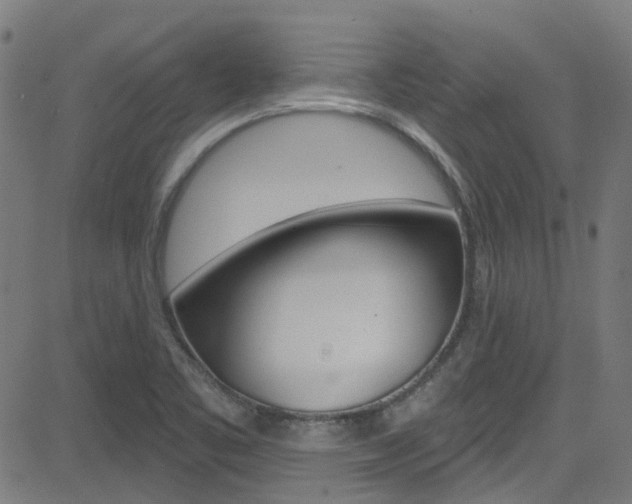 X0000082961461200702011101