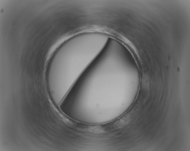 X0000082961464200702011100