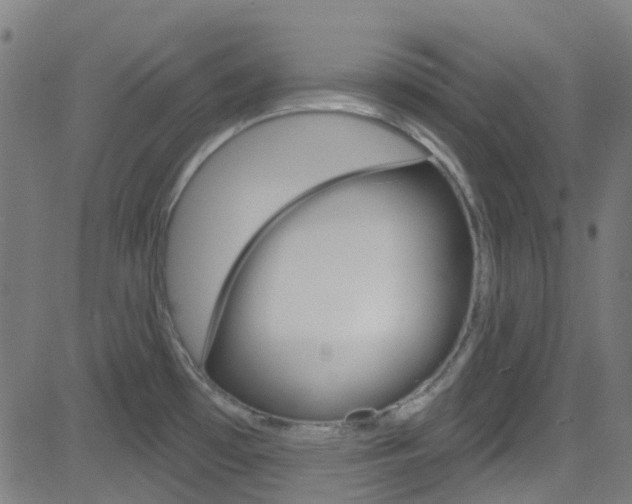 X0000082961481200702011100