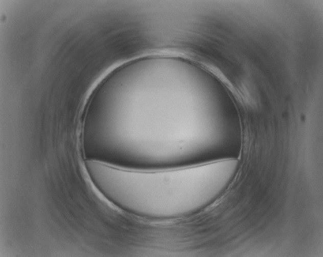 X0000082961484200702011100