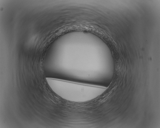 X0000082961490200702011059