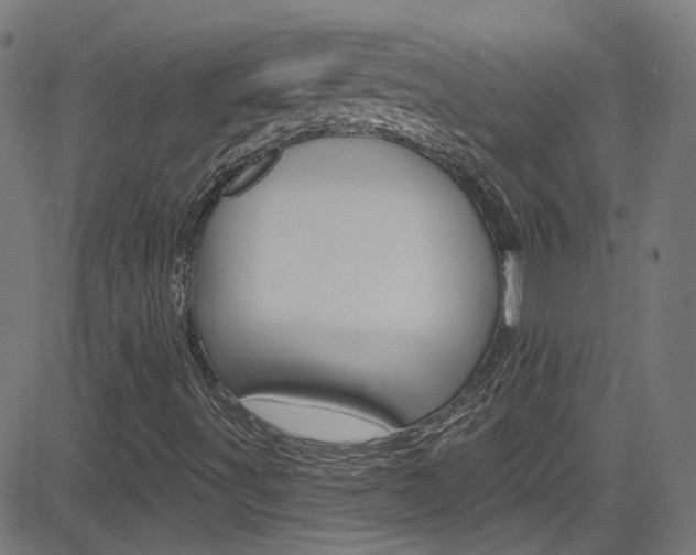 X0000082961491200702011059