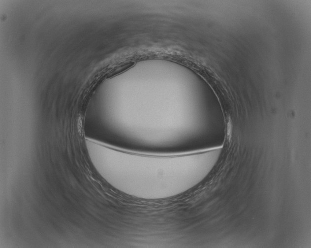 X0000082961492200702011059