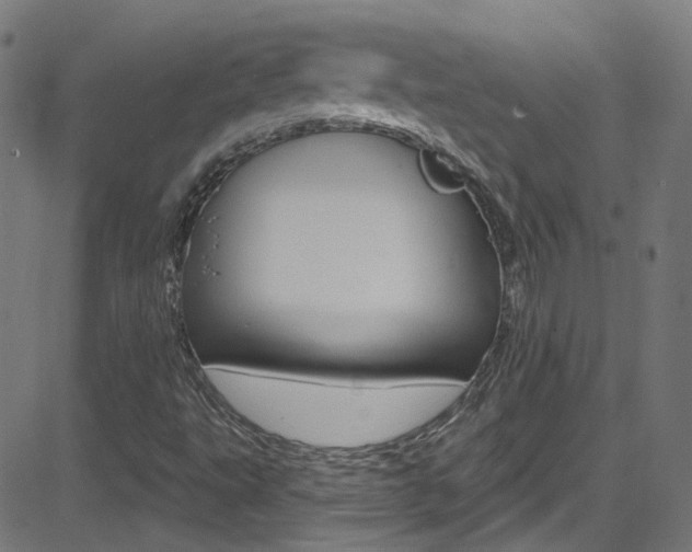 X0000082961495200702011059