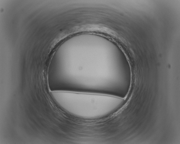 X0000082961497200702011059
