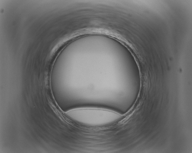X0000082961499200702011059