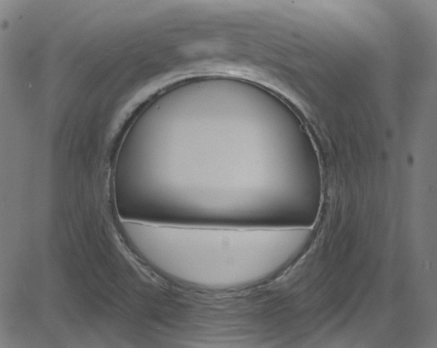 X0000082961507200702011100