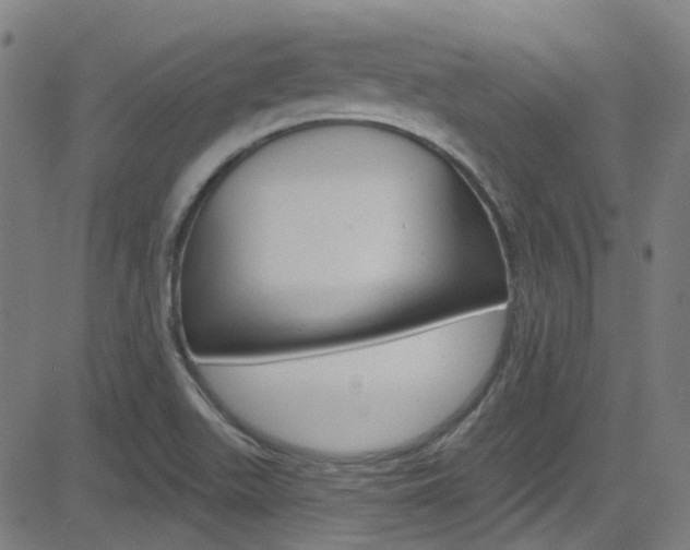 X0000082961511200702011100