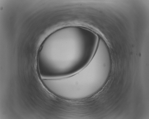 X0000082961512200702011100