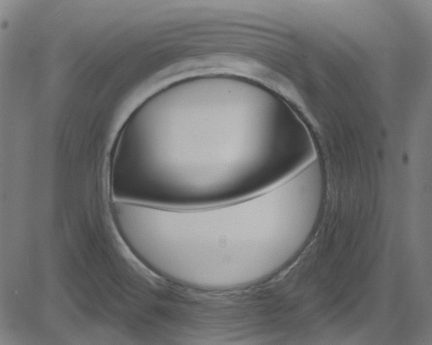X0000082961516200702011100