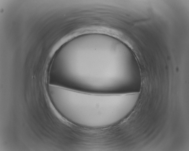 X0000082961523200702011100