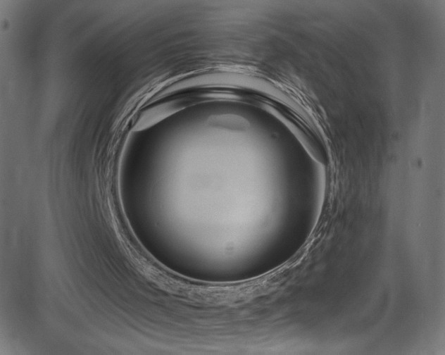 X0000082960001200702011319