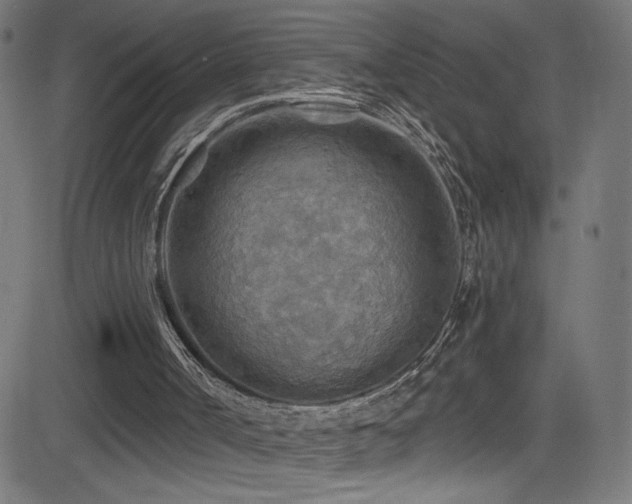 X0000082960002200702011319