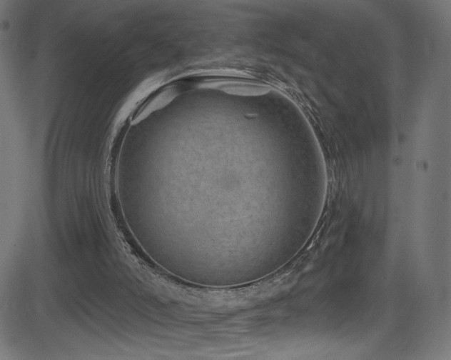 X0000082960006200702011319