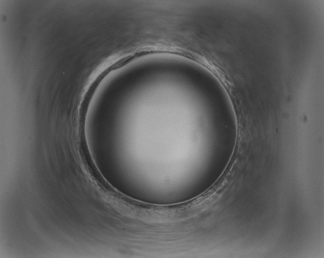 X0000082960008200702011319