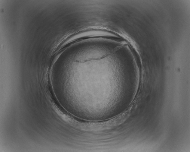 X0000082960009200702011319