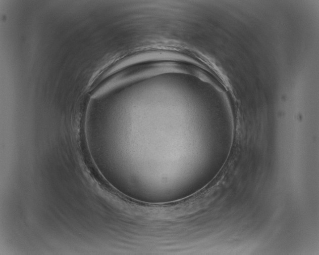 X0000082960010200702011319