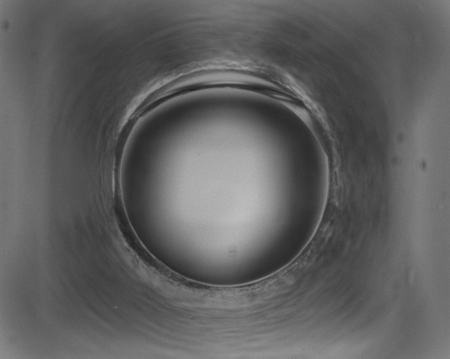 X0000082960011200702011319