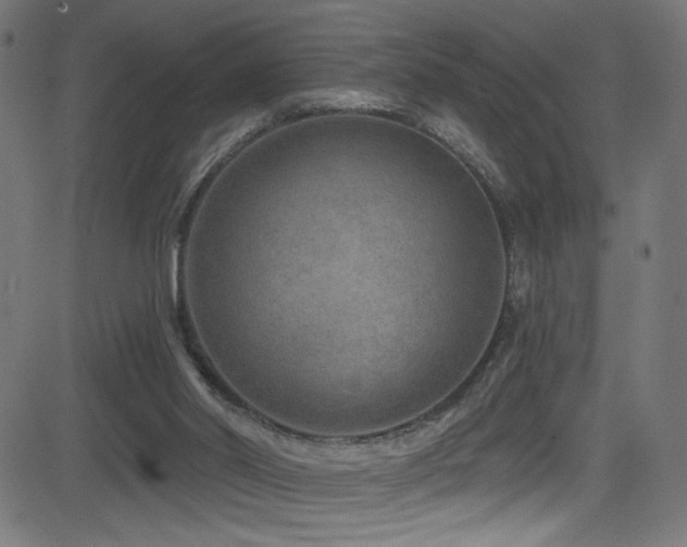 X0000082960014200702011319