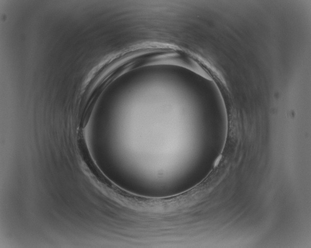X0000082960015200702011319