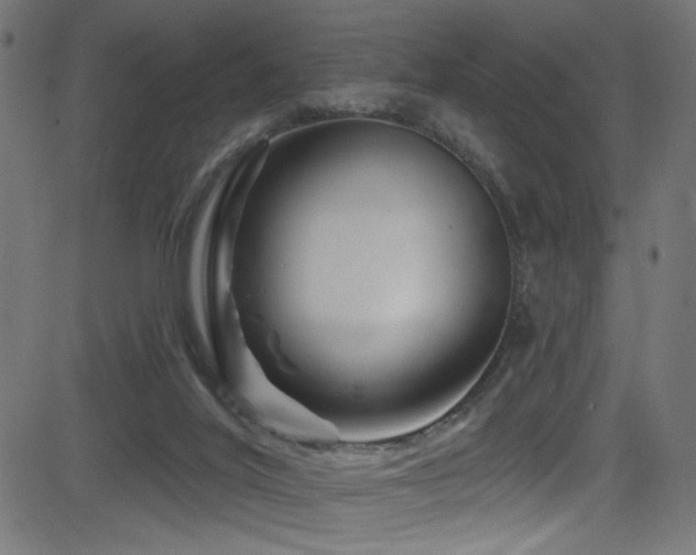 X0000082960020200702011319