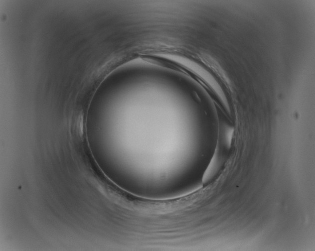 X0000082960021200702011319