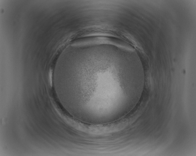 X0000082960022200702011318