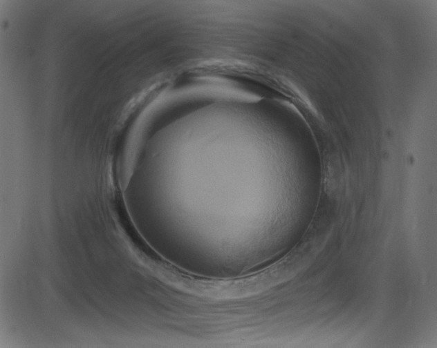 X0000082960023200702011318