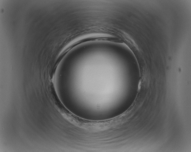 X0000082960025200702011318