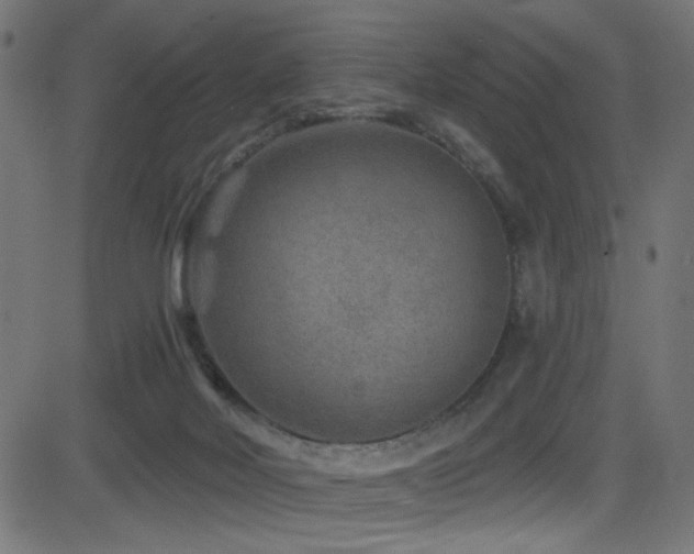X0000082960026200702011318