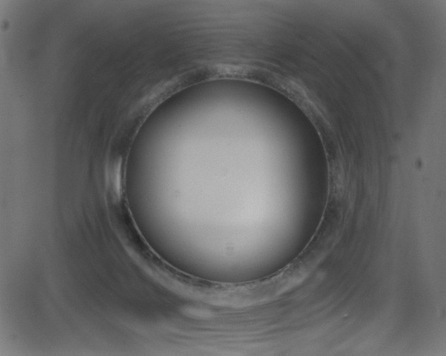 X0000082960028200702011318