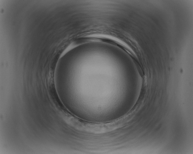 X0000082960029200702011318
