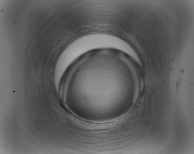 X0000082960031200702011318
